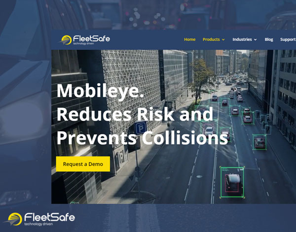 fleetsafe