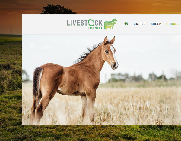Livestock Connect